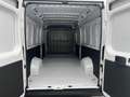 Fiat Ducato L4H2 MY25 Maxi 35 180PS/RADIO/KLIMA/RFK 132 kW ... Weiß - thumbnail 11