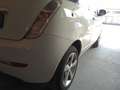 Lancia Ypsilon Ypsilon 1.2 8v Platinum 69cv Beige - thumbnail 12