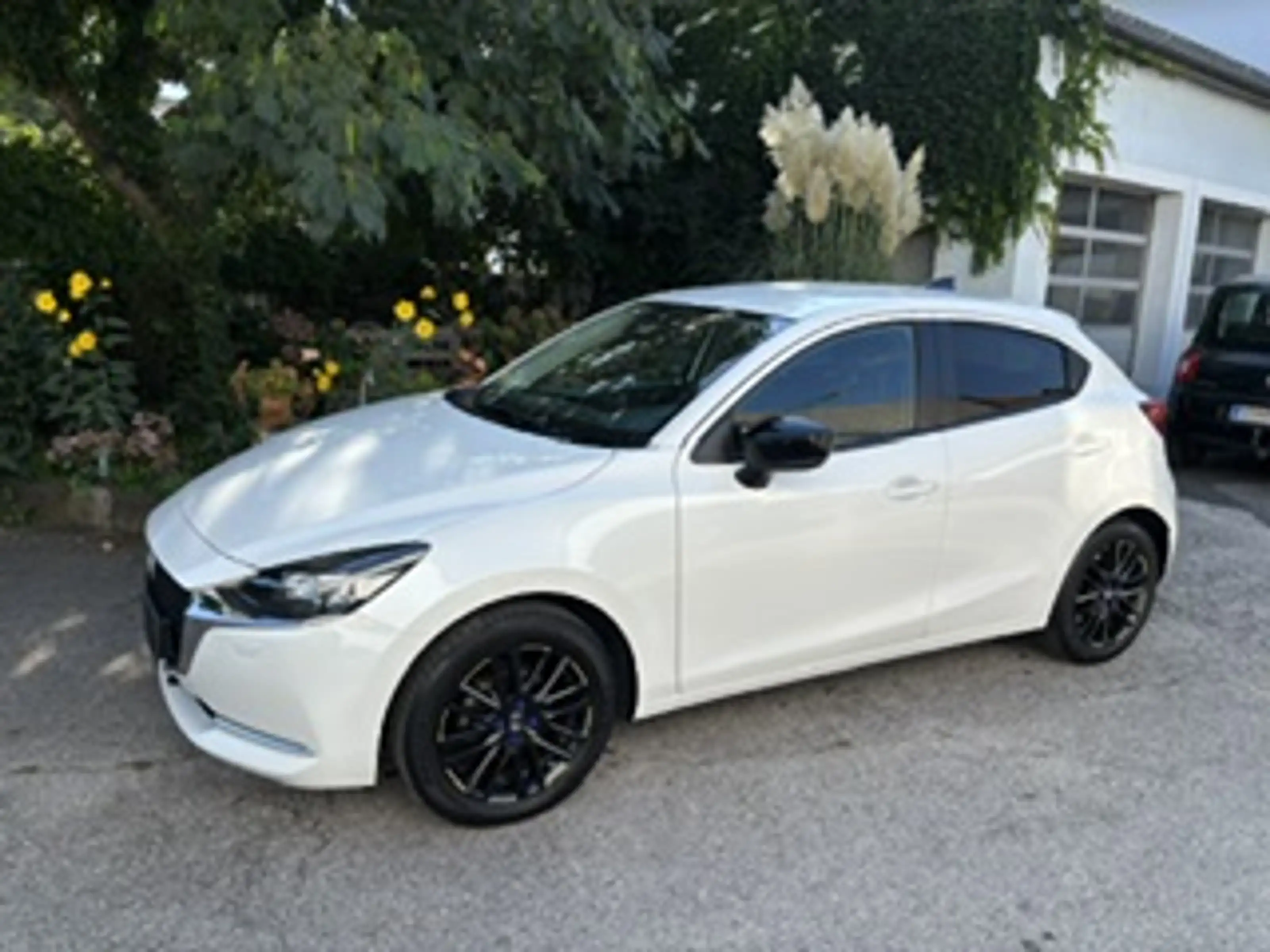 Mazda 2 Homura