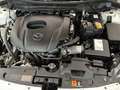 Mazda 2 Homura Weiß - thumbnail 14