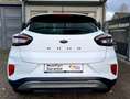 Ford Puma Titanium LED| Shz. | PDC|AppleCar|Sportsit. Weiß - thumbnail 12