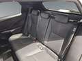 Lexus LBX 1.5 136cv HEV Emotion+ Bianco - thumbnail 10