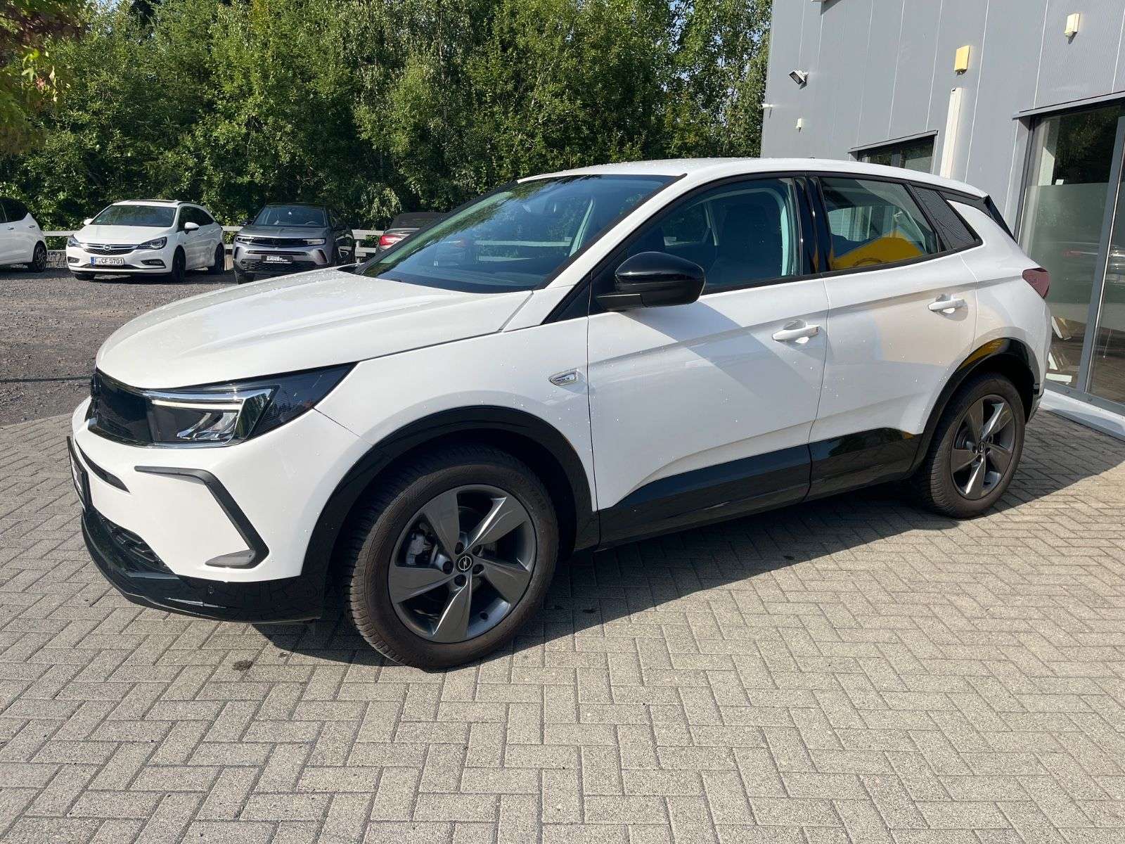 Opel Grandland X