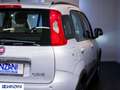 Fiat Panda Panda 0.9 TwinAir Turbo S&S Trekking - "PREZZO VE Argent - thumbnail 17