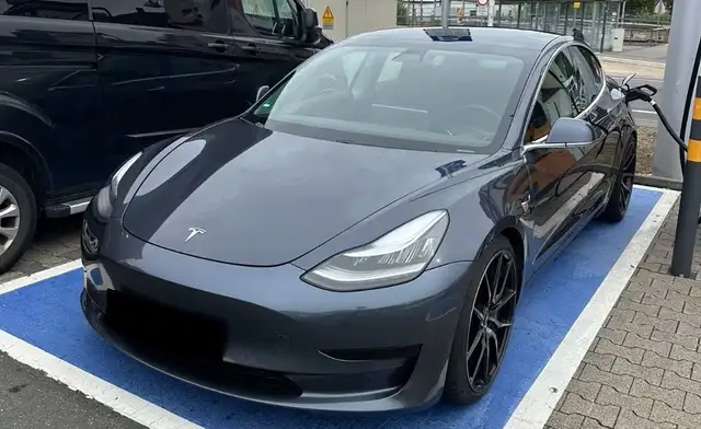 Tesla Model 3 Model 3 Standart Range Plus RWD