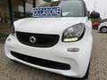 smart forTwo Fortwo 1.0 Prime 71cv my18 Bianco - thumbnail 2