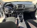 Kia Sportage Sportage 1.7 crdi Class 2wd Bianco - thumbnail 13