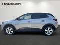 Opel Grandland X 1.2 Edition, Navi, Kamera, Sitz-+Lenkradheizung, P Grijs - thumbnail 6