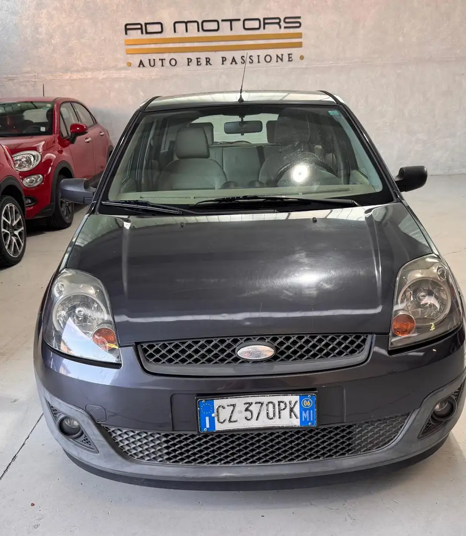 Ford Fiesta Diesel Neopatentati - 2