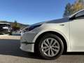 Kia Ceed / cee'd CEED 1.0 T-GDI TITAN – 100 PS | TEMPOMAT | DAB+... Weiß - thumbnail 10