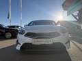 Kia Ceed / cee'd CEED 1.0 T-GDI TITAN – 100 PS | TEMPOMAT | DAB+... Weiß - thumbnail 6
