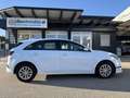 Kia Ceed / cee'd CEED 1.0 T-GDI TITAN – 100 PS | TEMPOMAT | DAB+... Weiß - thumbnail 18