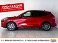 Ford Kuga 2.5 phev st-line x 2wd 225cv cvt Red - thumbnail 3