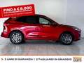 Ford Kuga 2.5 phev st-line x 2wd 225cv cvt Red - thumbnail 5