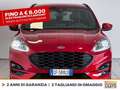 Ford Kuga 2.5 phev st-line x 2wd 225cv cvt Red - thumbnail 2