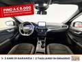 Ford Kuga 2.5 phev st-line x 2wd 225cv cvt Red - thumbnail 10
