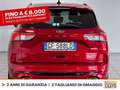 Ford Kuga 2.5 phev st-line x 2wd 225cv cvt Red - thumbnail 4