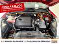 Ford Kuga 2.5 phev st-line x 2wd 225cv cvt Red - thumbnail 11