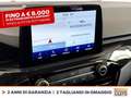 Ford Kuga 2.5 phev st-line x 2wd 225cv cvt Red - thumbnail 24