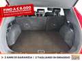 Ford Kuga 2.5 phev st-line x 2wd 225cv cvt Red - thumbnail 12
