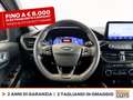 Ford Kuga 2.5 phev st-line x 2wd 225cv cvt Red - thumbnail 19