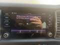 Skoda Kodiaq Scout 4x4 DSG/AHK/Virtual/ZR-neu Silber - thumbnail 18