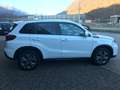 Suzuki Vitara Vitara II 2024 1.4h Cool+ 4wd allgrip 129cv - thumbnail 7