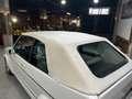 Volkswagen Golf Cabriolet 1.8 GLI/Quartet Blanco - thumbnail 17
