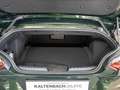 BMW Z4 Roadster sDrive 30i M-Sport FACEL. LED HUD Verde - thumbnail 9