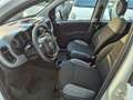 Fiat Panda 1.0 firefly hybrid City Life s Bianco - thumbnail 8