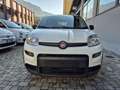 Fiat Panda 1.0 firefly hybrid City Life s Bianco - thumbnail 2