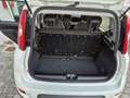 Fiat Panda 1.0 firefly hybrid City Life s Bianco - thumbnail 12