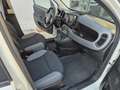Fiat Panda 1.0 firefly hybrid City Life s Bianco - thumbnail 14