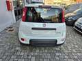 Fiat Panda 1.0 firefly hybrid City Life s Bianco - thumbnail 6