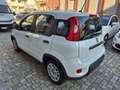 Fiat Panda 1.0 firefly hybrid City Life s Bianco - thumbnail 5