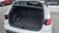 SEAT Arona 1.0 TSI S&S Style XM 110 Weiß - thumbnail 37