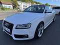 Audi A5 2.7 TDI| CABRIO| S-LINE| SCHECKHEFT| Blanc - thumbnail 4