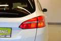 Ford Focus Turnier 1,6 TDCI ''Titanium'' W-PAKET*AHK Weiß - thumbnail 6
