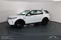 Land Rover Discovery Sport P200 AWD Aut. SE*NAVI*LEDER*PANO*VOLL Weiß - thumbnail 12