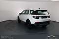 Land Rover Discovery Sport P200 AWD Aut. SE*NAVI*LEDER*PANO*VOLL Weiß - thumbnail 9