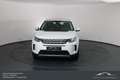 Land Rover Discovery Sport P200 AWD Aut. SE*NAVI*LEDER*PANO*VOLL Weiß - thumbnail 2