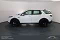 Land Rover Discovery Sport P200 AWD Aut. SE*NAVI*LEDER*PANO*VOLL Weiß - thumbnail 11
