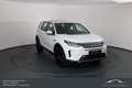 Land Rover Discovery Sport P200 AWD Aut. SE*NAVI*LEDER*PANO*VOLL Weiß - thumbnail 3