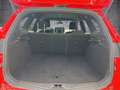 Ford Focus Turnier 1.5 EcoBoost Start-Stopp-System Aut. ST-Li Roşu - thumbnail 14