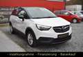 Opel Crossland X Edition Temp Sitzhzg PDC MFL AHK SH Білий - thumbnail 7