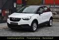 Opel Crossland X Edition Temp Sitzhzg PDC MFL AHK SH Білий - thumbnail 1