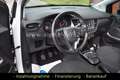 Opel Crossland X Edition Temp Sitzhzg PDC MFL AHK SH Білий - thumbnail 11