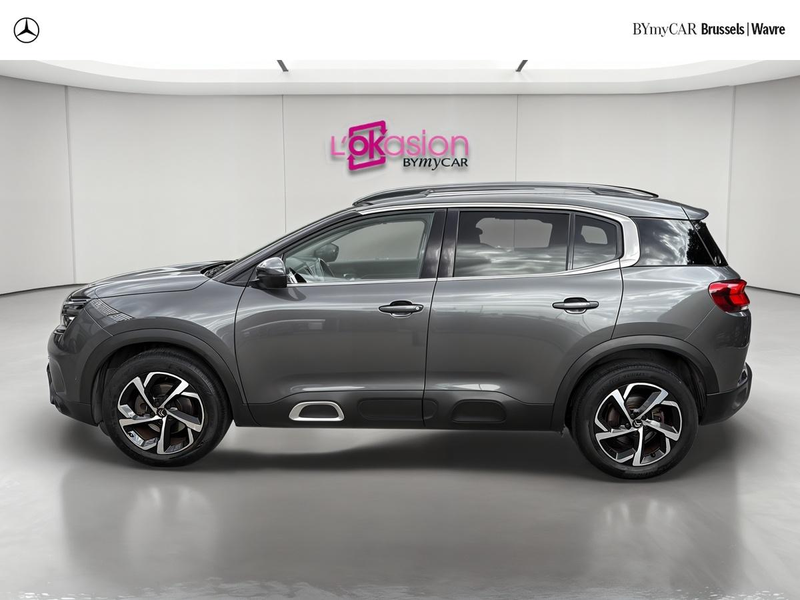 Citroen C5 Aircross 1.5 BlueHDi 130 S&S EAT8 Bus. Lounge 105 — photo 6