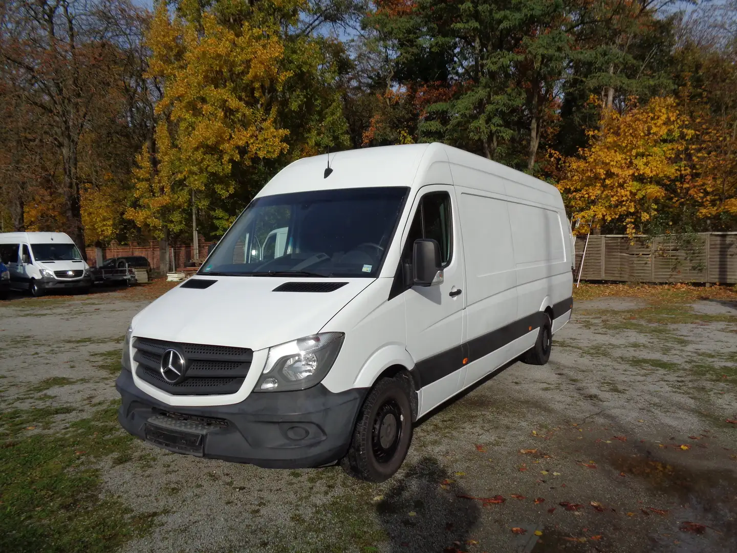 Mercedes-Benz Sprinter 316 CDI MAXI; EXTRA LANG Weiß - 1