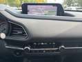 Mazda CX-30 SELECTION SKYACTIV-G 2.0 M Hybrid *i-Activsense-Pa Weiß - thumbnail 11